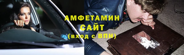 прущие грибы Лабытнанги
