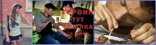 прущие грибы Лабытнанги
