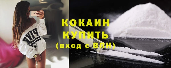 прущие грибы Лабытнанги