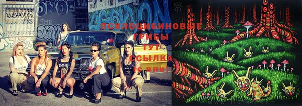 прущие грибы Лабытнанги