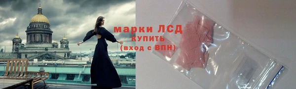прущие грибы Лабытнанги
