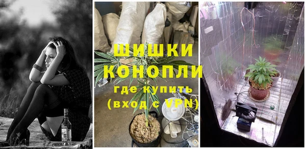 тгк Ладушкин