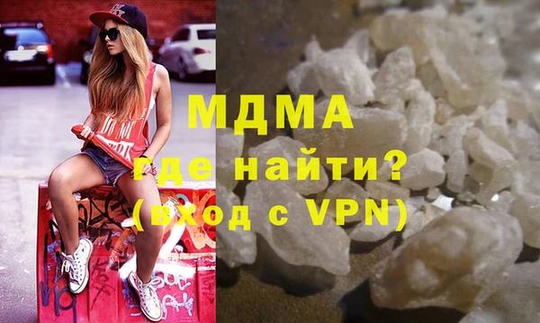 прущие грибы Лабытнанги
