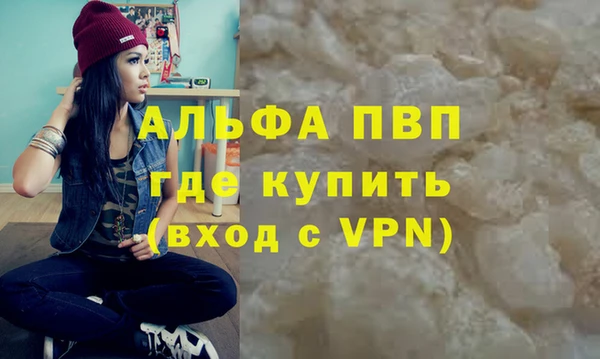 прущие грибы Лабытнанги